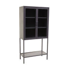 Grey Metal and Glass Two Door Tall Cabinet
