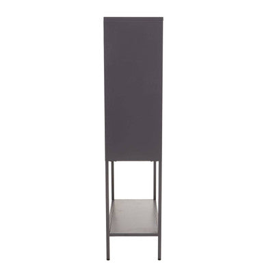 Grey Metal and Glass Two Door Tall Cabinet