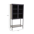 Grey Metal and Glass Two Door Tall Cabinet