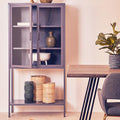 Grey Metal and Glass Two Door Tall Cabinet
