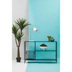 Black Metal Console Table with Rectangular Top and Two-Tier Open Shelf Storage,