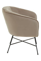Mink Velvet Accent Chair with Wood Frame
