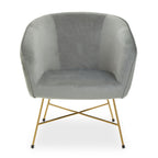 Grey Velvet Accent Chair with Gold Finish Legs