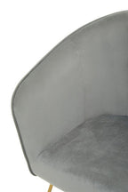 Grey Velvet Accent Chair with Gold Finish Legs