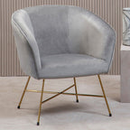 Grey Velvet Accent Chair with Gold Finish Legs