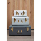 Set of Three Assorted Grey Storage Trunks