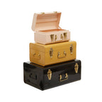 Set of Three Assorted Storage Trunks