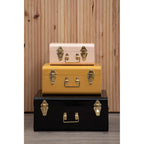 Set of Three Assorted Storage Trunks