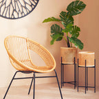 Small Rattan Planter with Metal Stand