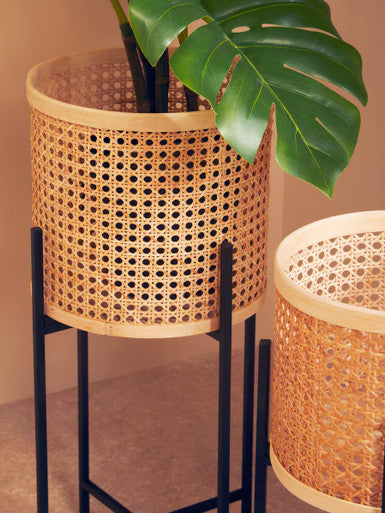 Small Rattan Planter with Metal Stand
