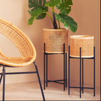 Small Rattan Planter with Metal Stand