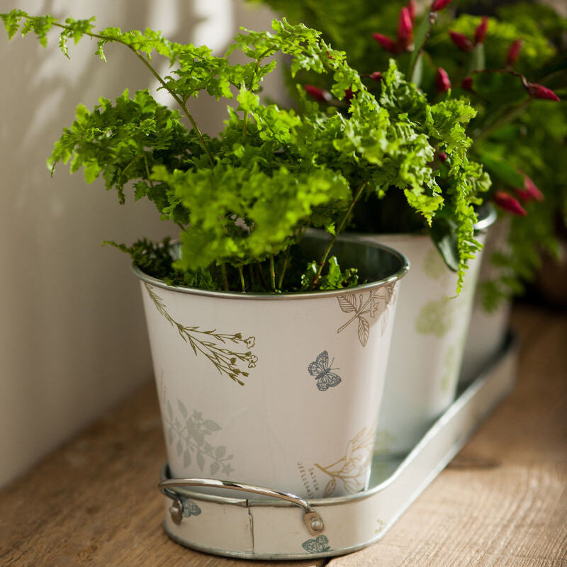 Set of Three Pots on Oblong Tray