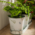 Set of Three Pots on Oblong Tray