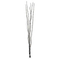 Black Colour 80 Lights Twigs
