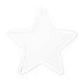 Neon Star White Light