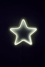 Neon Star White Light