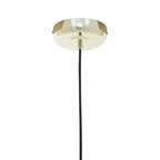 1 Bulb Gold Finish Pendant Light