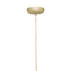 Gold Iron Pendant Light