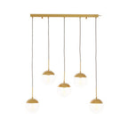 Gold Finish Glass Shades Pendant Light