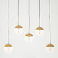 Gold Finish Glass Shades Pendant Light
