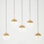 Gold Finish Glass Shades Pendant Light