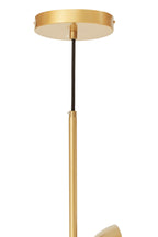 Gold Finish Pendant Light with Two Glass Shades