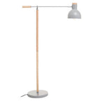 Matte Grey Floor Lamp