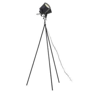 Two Spotlight Matte Black Tripod Floor Lamp
