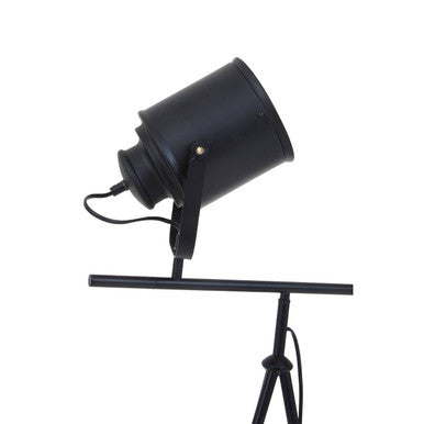 Two Spotlight Matte Black Tripod Floor Lamp