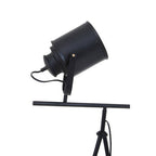 Two Spotlight Matte Black Tripod Floor Lamp