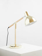 Adjustable Desk Lamp in Shiny Brass Finish