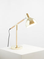 Adjustable Desk Lamp in Shiny Brass Finish