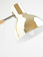 Adjustable Desk Lamp in Shiny Brass Finish