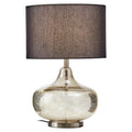Silver Glass with Black Shade Table Lamp
