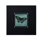 Butterfly 2 Framed Wall Art