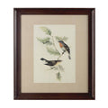 Framed Birds 1 Wall Art