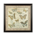 Framed Butterfly Wall Art