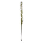 White Blazing Star Flower Stem
