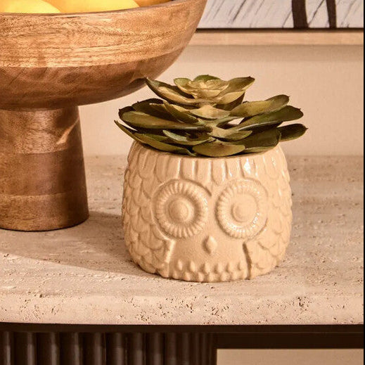 Large Succulent in Grey Ceramic Owl Pot