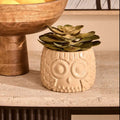 Large Succulent in Grey Ceramic Owl Pot