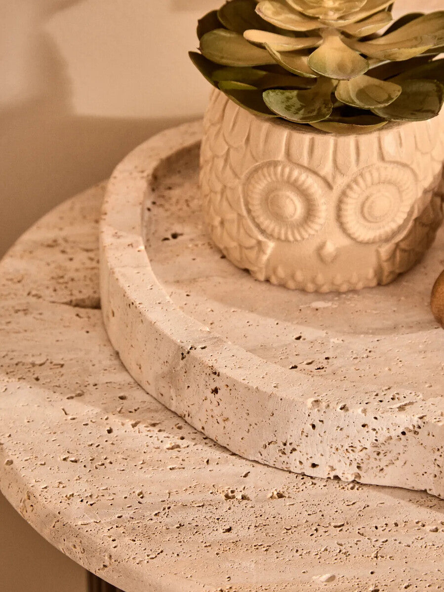 Large Succulent in Grey Ceramic Owl Pot