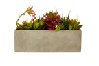 Mixed Succulents with Cement Pot