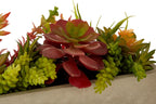 Mixed Succulents with Cement Pot