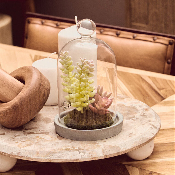 Small Succulent Dome with Cement Base