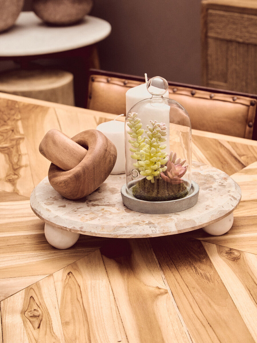 Small Succulent Dome with Cement Base