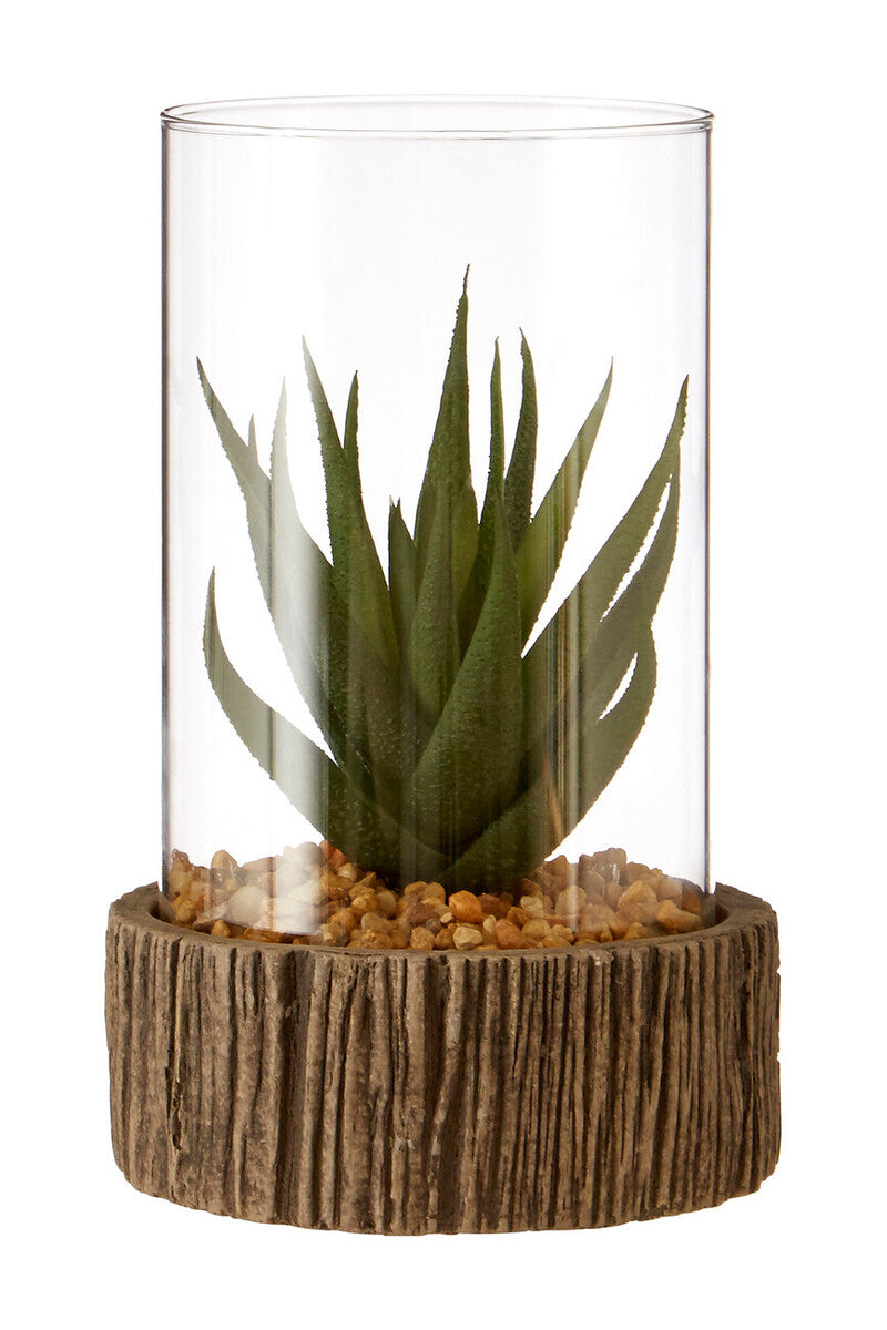 Small Succulent with Natural Stone Base