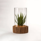 Small Succulent with Natural Stone Base