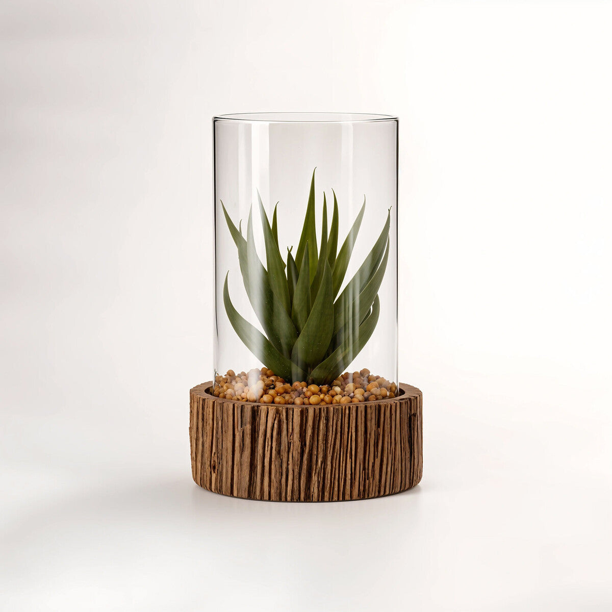 Small Succulent with Natural Stone Base