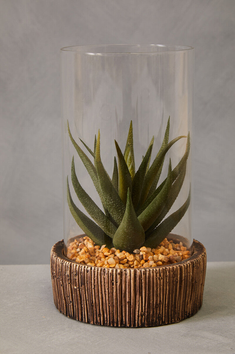 Small Succulent with Natural Stone Base