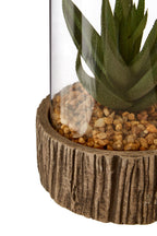 Small Succulent with Natural Stone Base